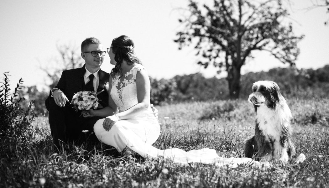 noUse4photography; nU4p; bw; Hochzeit; Hochzeitsfoto; Hochzeitsfotograf; Burgenland;